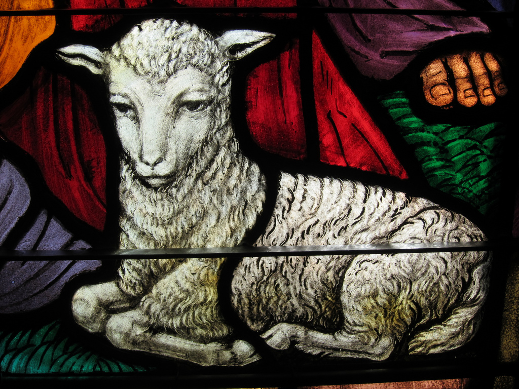 the-lamb-nativity
