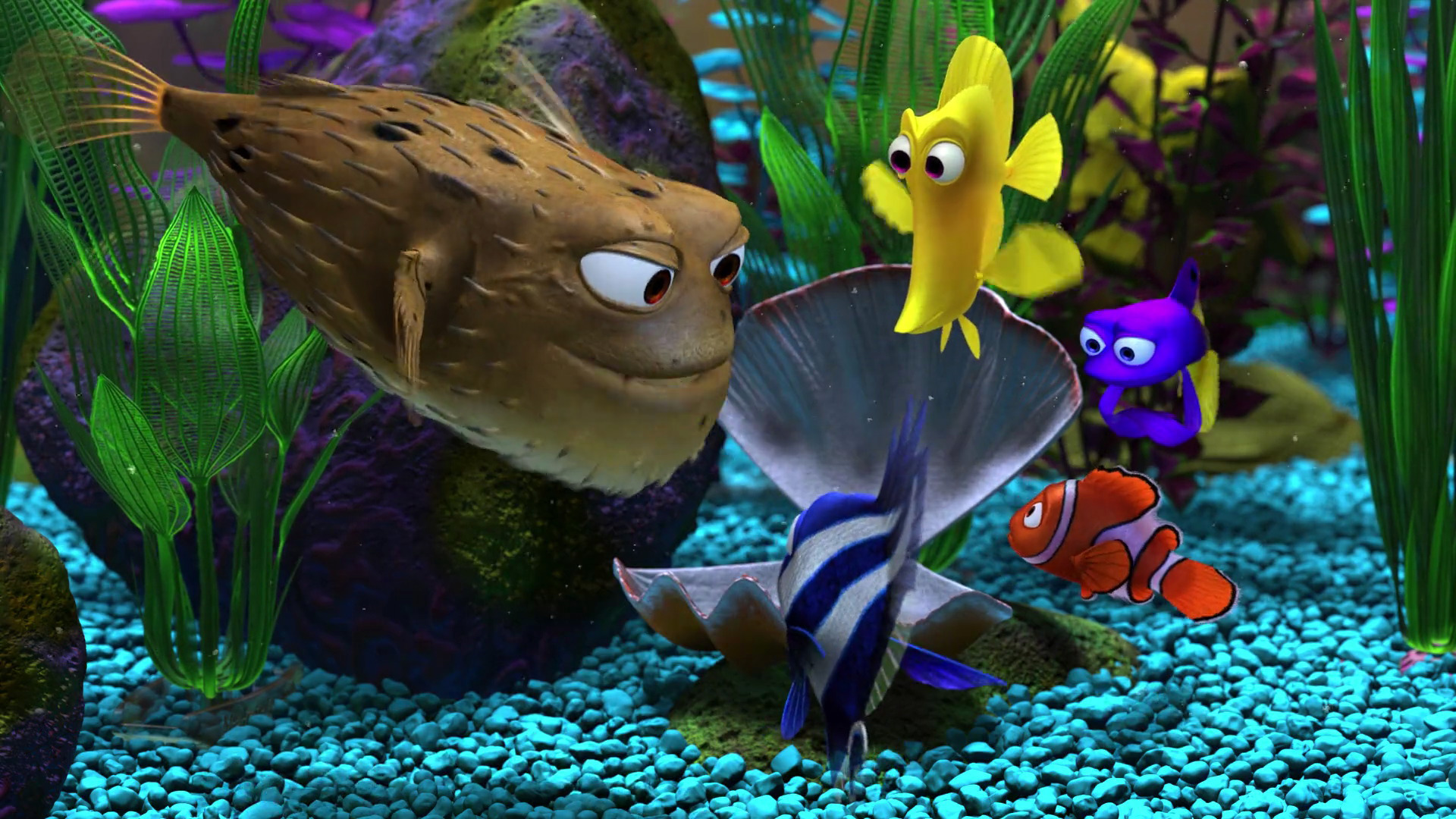 4K Fish Tank- Finding Nemo Aquarium - Finding Dory too 😉 